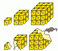 keng2026