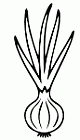 lingv2026