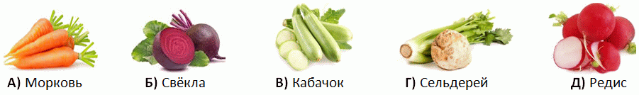 pchelka2025