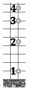 zubr2025