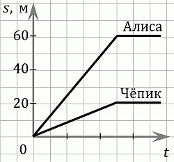 zubr2025