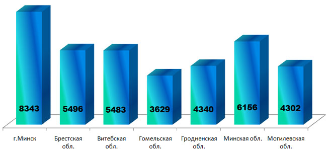 Инфомышка-2013